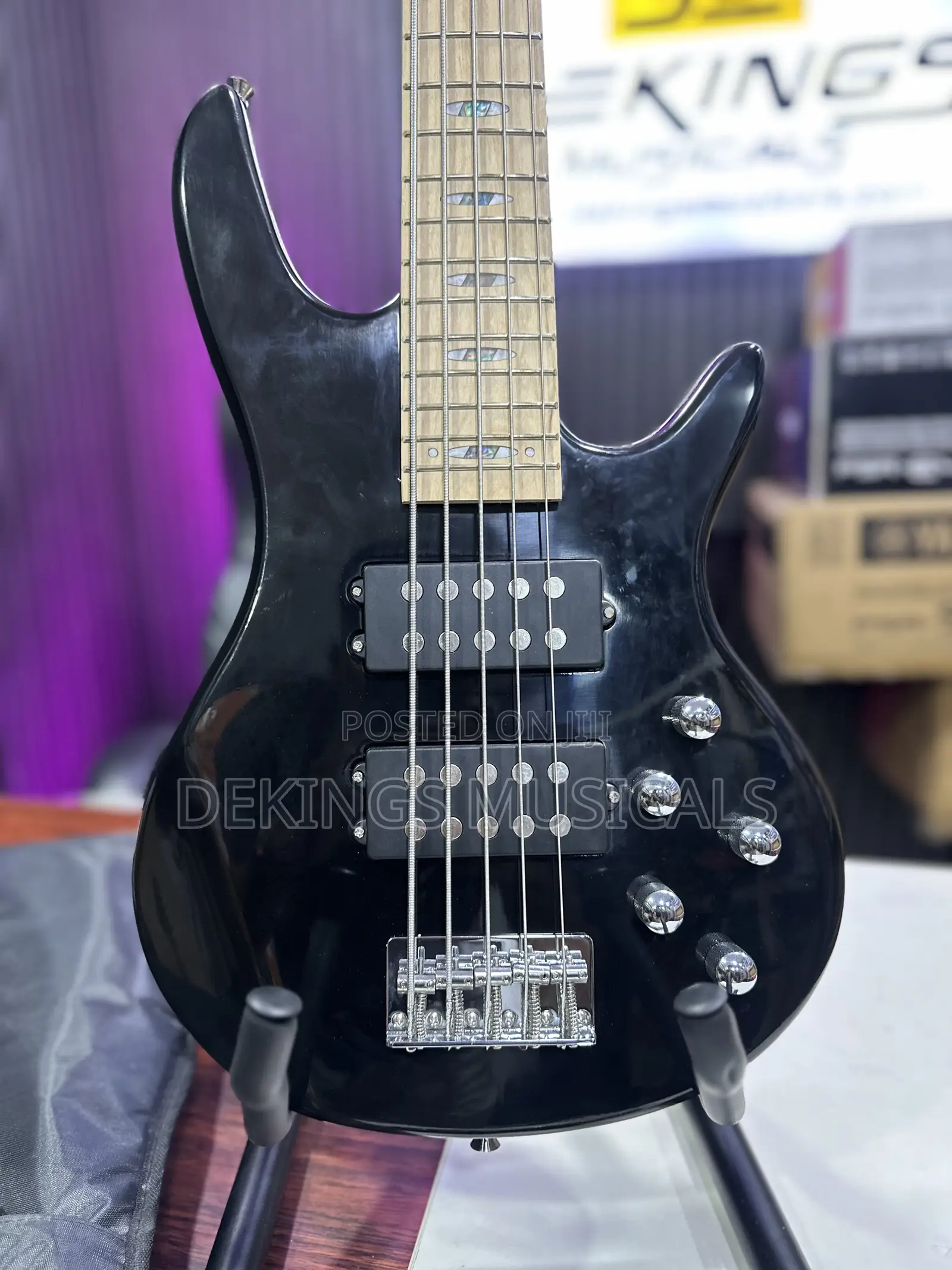 Ibanez 5 String Bass Passive Guitar