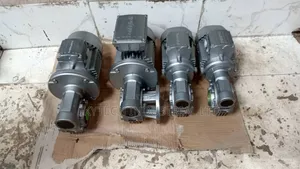 0.37kw Bonfiglori With Gear