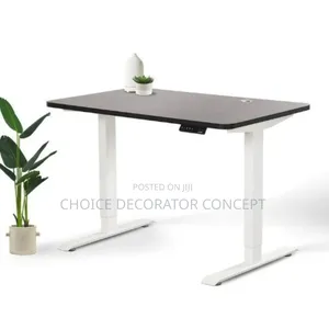 Electric Adjustable Height Standing Desk(Black and White)