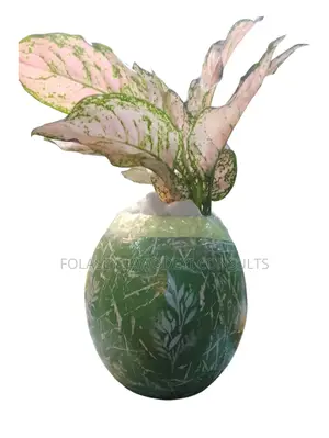 Flower Pot With Glow In The Dark Aglaomena Pink Or Other Plants