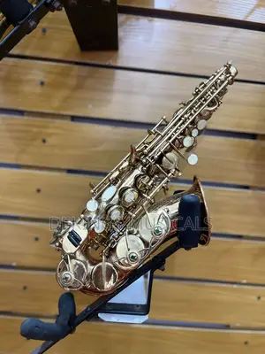 Standard Japan Alto Saxophone - Gold