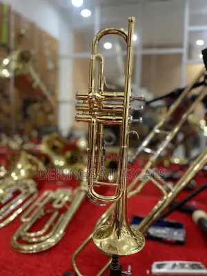 Professional Trumpet Price For Standard Japan