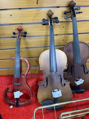 Standard Japan Electric Violin Price Is N235,000