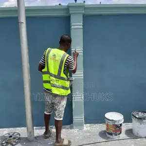 Toluu Painter