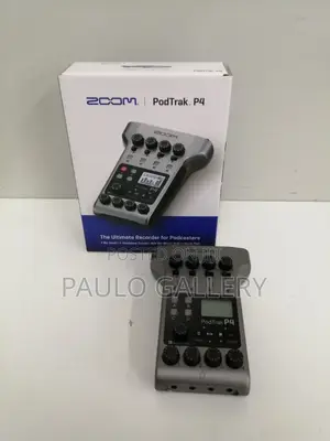 Zoom Podtrak P4
