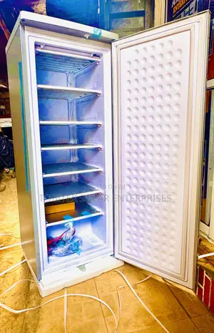 Freestanding Bona Freezer 200liter Ice Maker