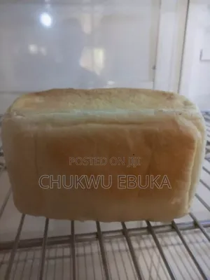 Professional Baker