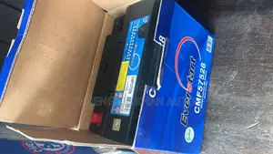 Original Korean Everstart Battery