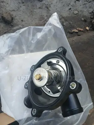 Thermostat for Audi Q7 V8 4.2 Engine