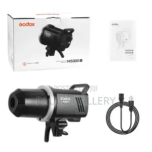 Godox Ms300 V