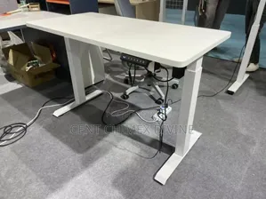 High Standard Adjustable Desk