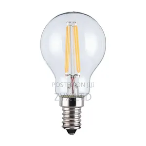Led Filament Light