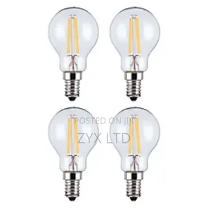 Led Filament Light