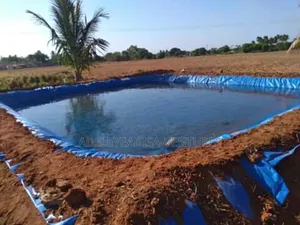 Fish Pond 10feet by Feet Height