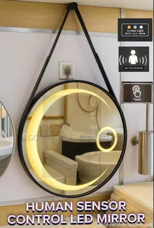 Human Sensor Control Mirror