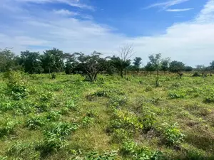 Land for Sale at Kobape 300 Acres in a Well Developed Neighborhood