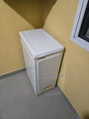 Original Uk Nofrost Freezer