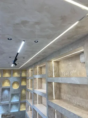 Limewash Painting and Mold