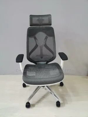 Ergonomic Mesh Office Chair With Lumbar Support*