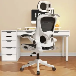 Egornomic Designed Office Chair With Lumbar Support