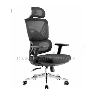 Egornomic Designed Recline Mesh Office Chair -Black