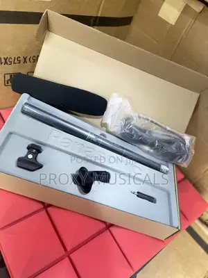 Panasonic Condenser Microphone