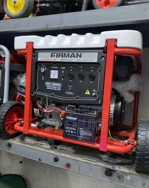 Original Firman 10kva Eco12990es 100% Copper Heavy Duty Generator