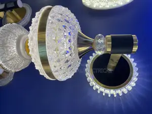 Led Wall Bracket