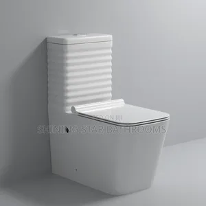 Executive Toilet Set With Wall Hung Basin
