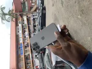 Apple iPhone 15 Pro Max 256 GB Silver