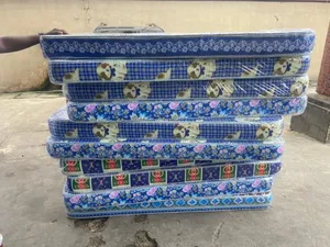 Hostels Mattress 3 Feet 6 Feet