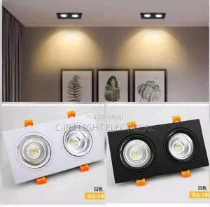 2in1 Led Recess Light