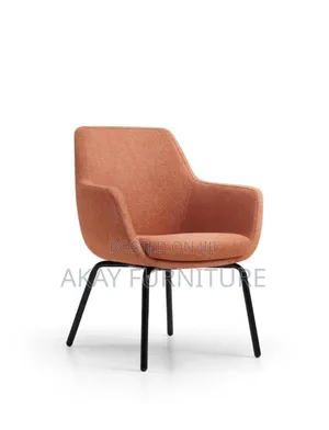 Lounge Or Reception Chairs