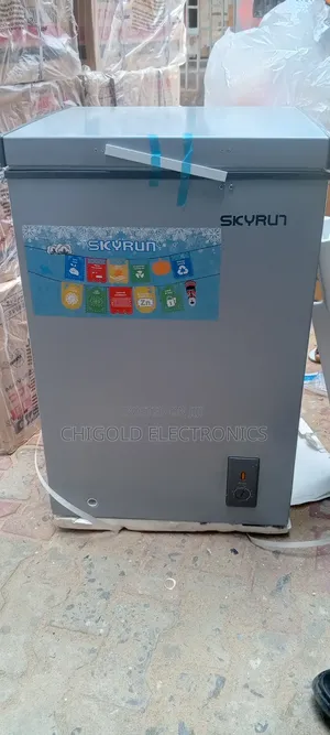 Skyrun Deep Freezer100 Litter