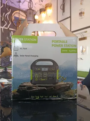 300w Energy Storage Power Station