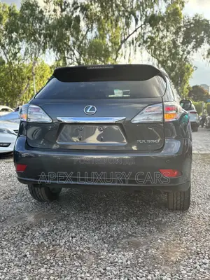 Lexus RX 2011 Gray