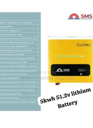 Original Solid SMS Lithium Battery With One Year Warranty