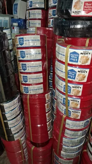 Lion Wire Single Wires for Homes/ Hotels/ All Kinds of Buildings