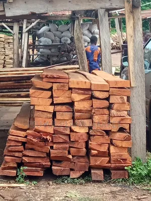 Obi/ Kola Nut Wood