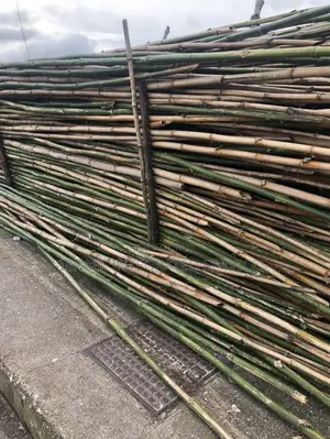 Bamboo for Scaffolding Short and Long