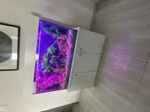 Standing Aquarium