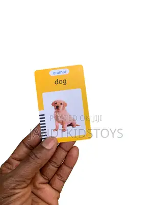 Children’S Interactive Learning Flash Card Device