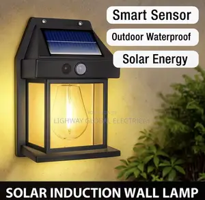 Smart Sensor Solar Outdoor Light