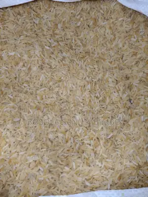 Rice For Dogs
