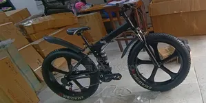 Black Fat Tyre Bicycle