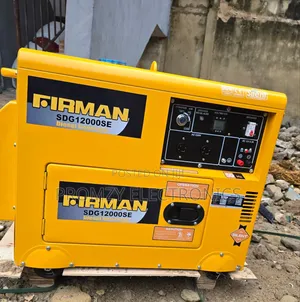 Firman Diesel Soundproof Generator Model Sdg12000se 100%Copper Coil