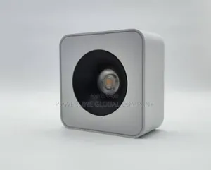 Ceiling Fitting Light for Homes/ Hotels/ Lounges/ Guesthouses