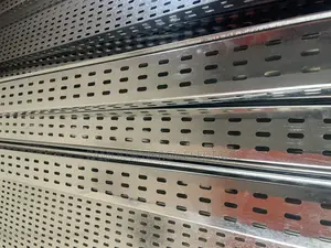 Cable Tray 100mmx50mm by 3 Meters Long Pure Galvanized