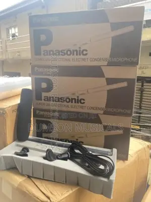 Panasonic Boom Mic