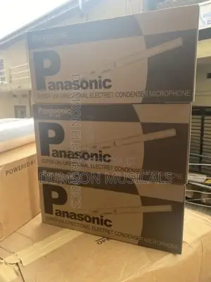Panasonic Boom Mic